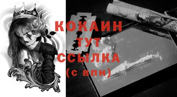 стафф Аркадак